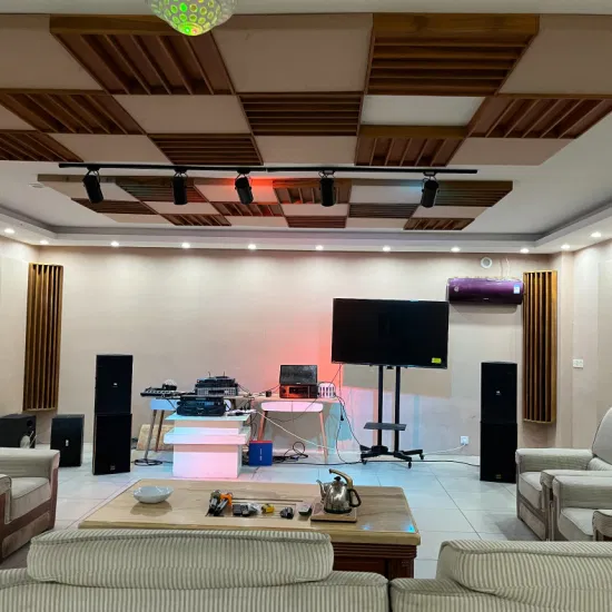 Indoor Acoustic Reverberation Room Provides Acoustic Laboratory